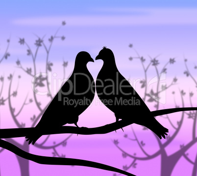 Love Birds Represents Compassion Passion And Heart