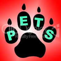 Pets Paw Means Domestic Animal And Breed