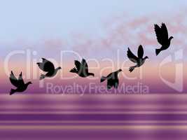 Flying Birds Shows Chill Fall And Frosty