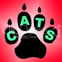 Cats Paw Shows Pet Services And Feline