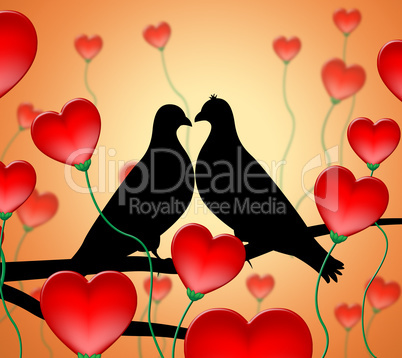 Love Birds Means Tenderness Wildlife And Compassion