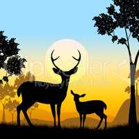 Deer Wildlife Indicates Safari Animals And Evening