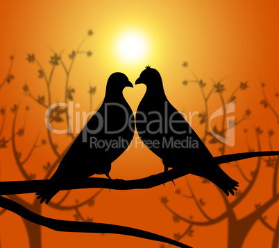 Love Birds Represents Heart Compassion And Boyfriend