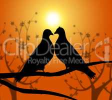 Love Birds Represents Heart Compassion And Boyfriend