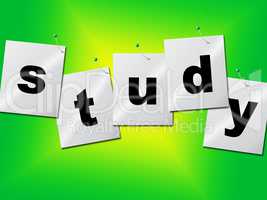 Study Studying Indicates University Develop And Train