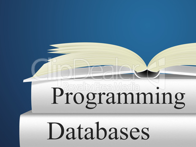 Databases Programming Indicates Software Design And Application