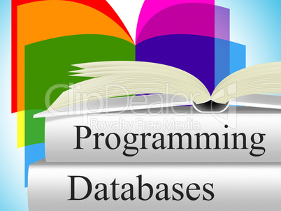 Databases Programming Means Software Development And Byte