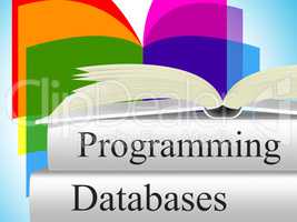 Databases Programming Means Software Development And Byte