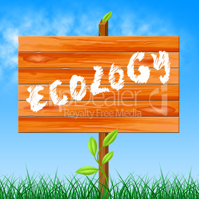 Eco Ecology Represents Earth Friendly And Conservation