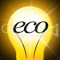 Eco Friendly Shows Go Green And Earth