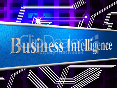 Business Intelligence Represents Intellectual Capacity And Ability
