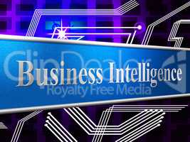 Business Intelligence Represents Intellectual Capacity And Ability