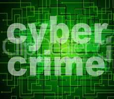 Cyber Crime Means World Wide Web And Criminal