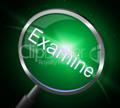Magnifier Examine Indicates Check Up And Magnification