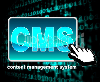 Content Management System Means World Wide Web And Websites