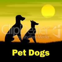 Pet Dogs Represents Domestic Animals And Canine