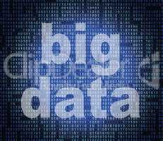 Big Data Represents World Wide Web And Net