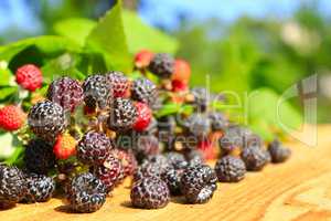black raspberry fruits
