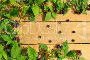 black raspberry with berries and leaves on the wooden