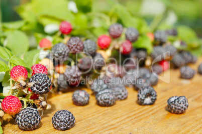 black raspberry with berries and leaves on the boards
