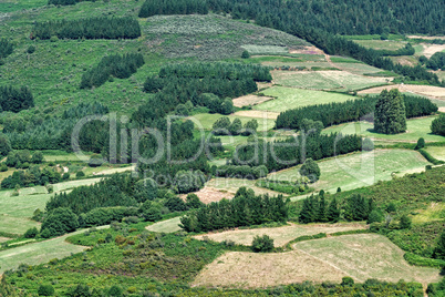 Spanien Galicien Landschaft Detail
