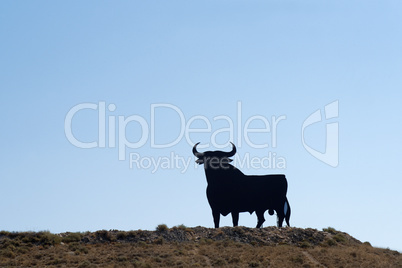 Spanischer Stier als Standbild in der Landschaft