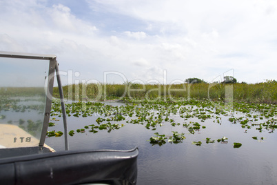 Everglades