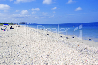 Barefoot Beach in Florida