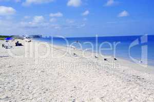 Barefoot Beach in Florida