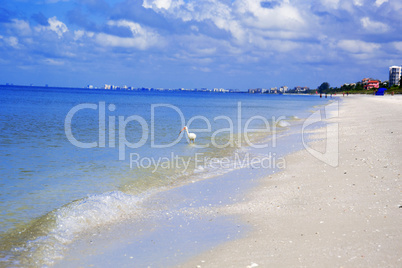 Barefoot Beach in Florida Barefoot Beach in Florida