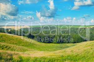 picturesque hills, forest and blue sky