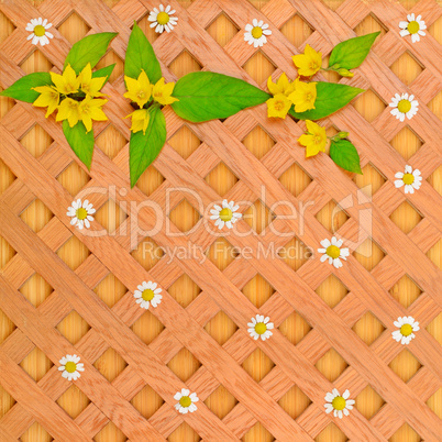 wood background, white daisies and pattern of wild flowers