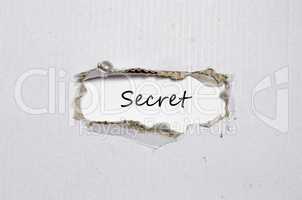 The word secret appearing behind torn paper