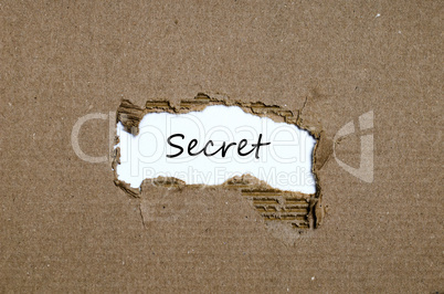 The word secret appearing behind torn paper