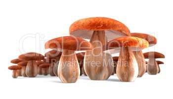 Ceps mushrooms isolated on white 3d illustration