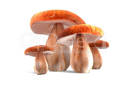 Four ceps mushrooms isolated on white 3d illustration