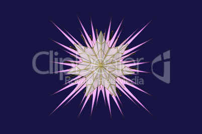 Abstract image: a fractal star.