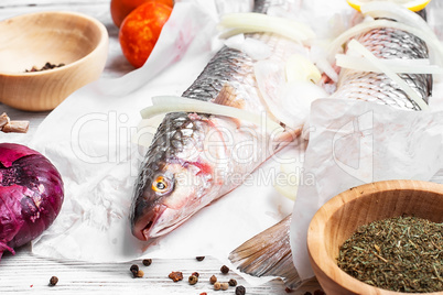 Fresh fish in the kitchen