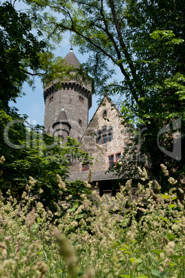 view on the castle