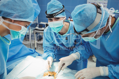 Surgeon looking at camera while colleagues performing operation