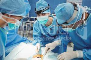Surgeon looking at camera while colleagues performing operation