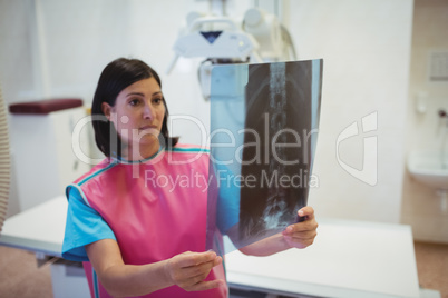 Female doctor examining x-ray