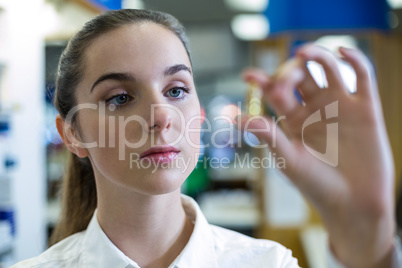 Pharmacist checking a capsule