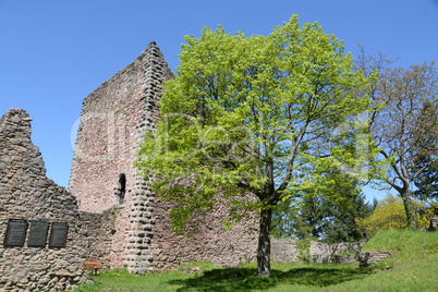 Ruine Schauenburg bei Oberkirch