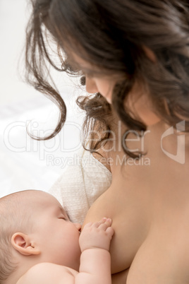 Studio portrait of newborn baby breastfeeds
