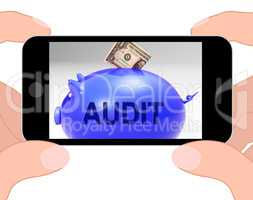Audit Piggy Bank Displays Auditing Inspecting And Finances