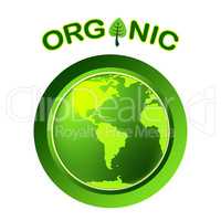 Natural Organic Represents Globalisation Worldwide And Trees