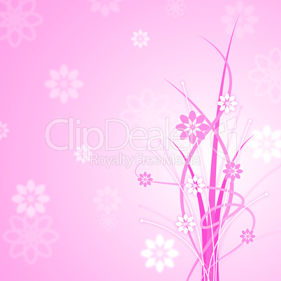 Pink Background Shows Florals Floral And Flowers