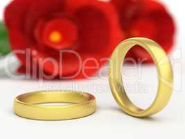 Wedding Rings Shows Find Love And Adoration