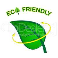 Eco Friendly Indicates Go Green And Eco-Friendly